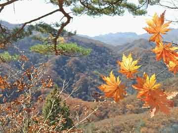 贵阳私人医院打胎药益美国际控股复牌高开近24% 公司预计去年纯利同比减少73%